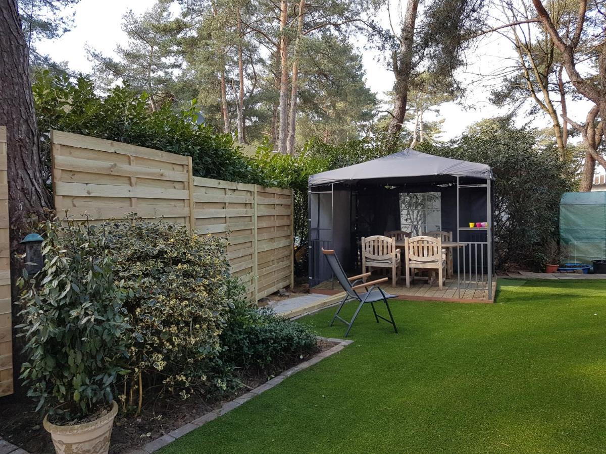 " Casitacuriosa " Chalet Op Camping Met Buitenzwembad Balen Exterior foto